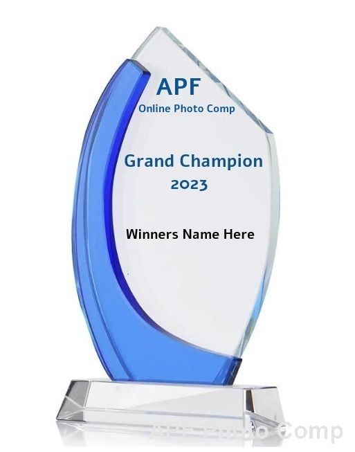 Grand Champion Trophy 2024
