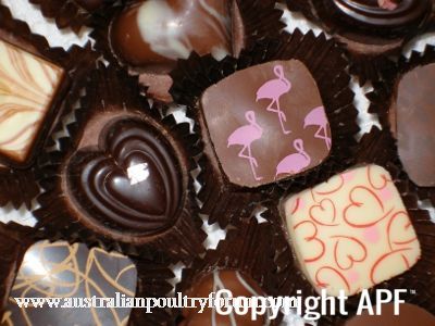 life_is_like_a_box_of_chocolate.jpg