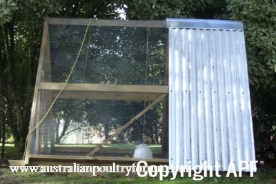 normal_a_frame_walk_in_chook_tractor~1.jpg