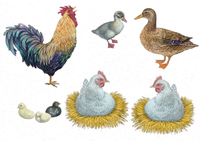 imageedit_7_4237262213.png