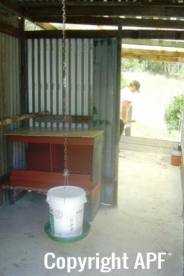 interior_with_feeder_and_nest_box_reduced.jpg