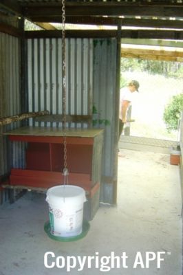 interior_with_feeder_and_nest_box_reduced~0.jpg