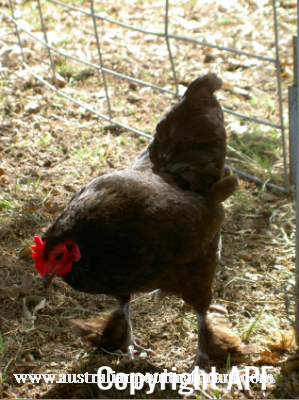 screen_shot_2012-06-08_at_2_32_58_pm.png