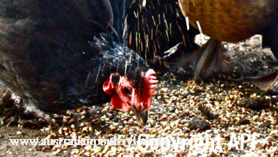 screen_shot_2012-06-12_at_6_17_14_pm.png