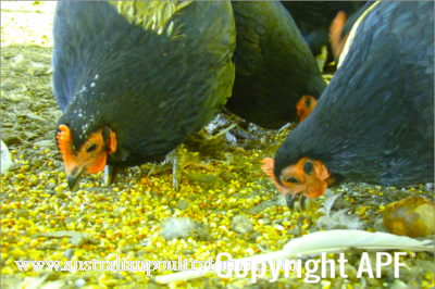 screen_shot_2012-06-25_at_5_56_56_pm.png