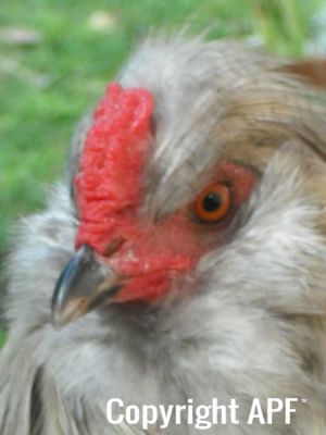 up_close_and_personal.jpg