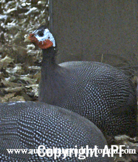screen_shot_2012-06-11_at_7_24_37_pm.png