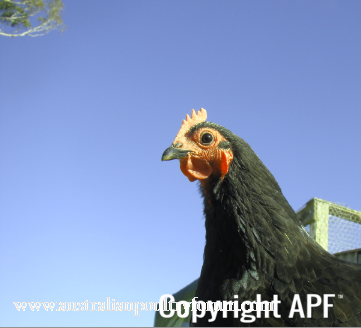 screen_shot_2012-06-23_at_2_07_15_pm.png