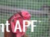 thumb_008_28640x48029.jpg