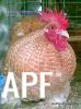 thumb_111120102800429.jpg