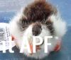 thumb_2013-04-15_17_28_07.jpg