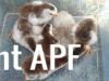 thumb_2013-04-16_10_01_28.jpg