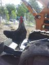 2013-04-27_12_02_56_1.jpg