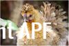thumb_appps_n_3kids_2.jpg