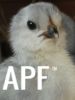 thumb_chick_with_attitude.jpg