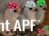 thumb_christmas_chickens.jpg