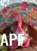 thumb_easter_bonnet_281429.jpg