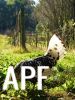thumb_foraging_in_the_vineyard~1.jpg
