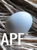 thumb_freshly_laid_araucana_egg~1.jpg