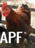 thumb_gold_laced_pekin.jpg