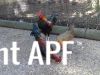 thumb_hybrid_fowl__red_jungle_fowl_x_old_english_game_bantam_x_rose-comb_bantam__05~1.jpg