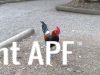thumb_hybrid_fowl_rooster__red_jungle_fowl_x_old_english_game_bantam_x_rose-comb_bantam__01~1.jpg