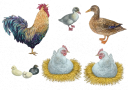 imageedit_7_4237262213.png