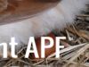 thumb_lady_frances_lays_an_egg_photo_4~1.jpg