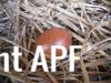 thumb_lady_frances_lays_an_egg_photo_5~1.jpg