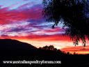 morning_after_the_earthquake_28229.jpg