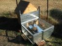 normal_baby_chook220808_017~0.jpg
