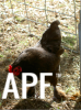 thumb_screen_shot_2012-06-08_at_2_32_58_pm~1.png