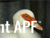 thumb_screen_shot_2012-06-08_at_2_38_16_pm~1.png