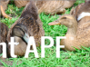 thumb_screen_shot_2012-06-09_at_2_13_36_pm~1.png