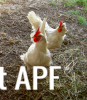 thumb_screen_shot_2012-06-11_at_11_19_24_pm~1.png