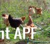 thumb_screen_shot_2012-06-11_at_11_24_00_pm~1.png