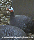 screen_shot_2012-06-11_at_7_24_37_pm.png