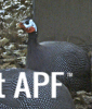 thumb_screen_shot_2012-06-11_at_7_24_37_pm~1.png