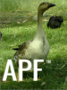 thumb_screen_shot_2012-06-11_at_8_02_43_pm~1.png