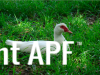 thumb_screen_shot_2012-06-11_at_8_03_42_pm~1.png