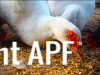 thumb_screen_shot_2012-06-12_at_6_25_13_pm~1.png