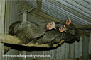 screen_shot_2012-06-13_at_10_35_24_pm~0.png