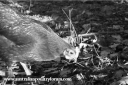screen_shot_2012-06-13_at_8_14_10_pm.png