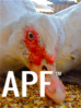 thumb_screen_shot_2012-06-15_at_5_17_16_pm~1.png