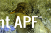 thumb_screen_shot_2012-06-23_at_12_37_54_pm~1.png