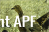 thumb_screen_shot_2012-06-23_at_12_38_08_pm~1.png