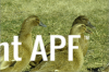 thumb_screen_shot_2012-06-23_at_2_06_16_pm~1.png