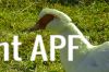 thumb_screen_shot_2012-06-23_at_2_07_00_pm~1.png
