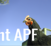 thumb_screen_shot_2012-06-23_at_2_07_15_pm~1.png