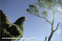 screen_shot_2012-06-23_at_2_08_36_pm.png